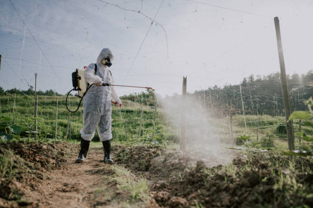 Best Mosquito Control Services  in Clarkson, KY