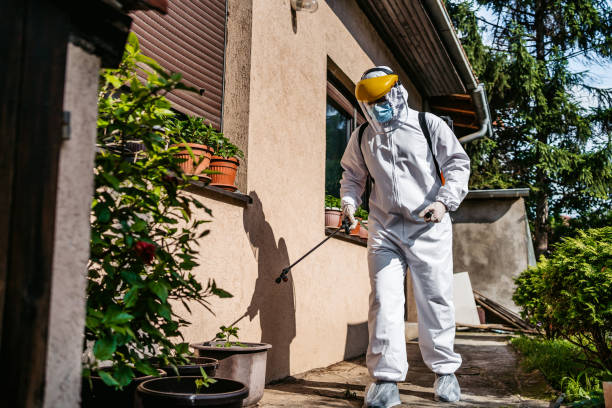 Best Wasp Removal Services  in Clarkson, KY