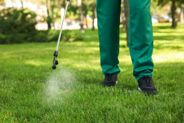 Best Bed Bug Extermination  in Clarkson, KY