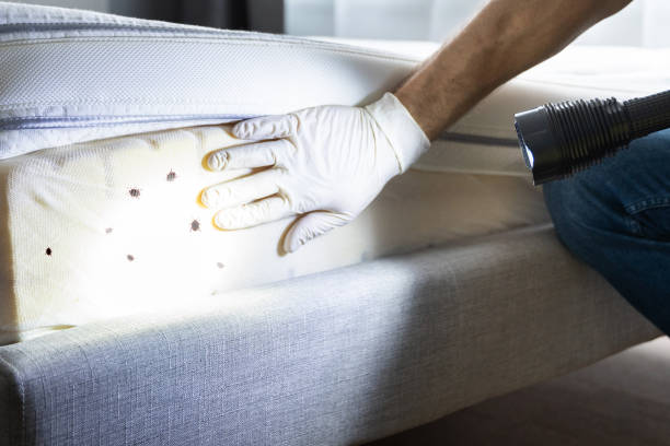 Professional Pest Control in Clarkson, KY
