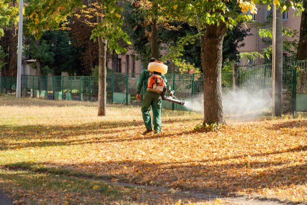Best Cockroach Control Services  in Clarkson, KY